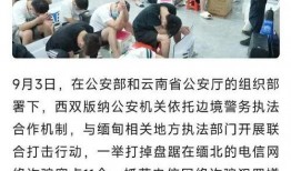 缅北归来新闻爆料保护,勇敢爆料背后的真相与挑战