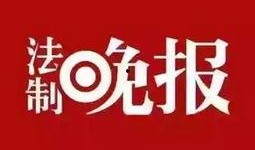 福彩最新爆料新闻直播,揭秘彩票行业背后惊人内幕