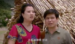 豆腐西施杨七巧全集在线观看,全集剧情回顾，在线观看指南