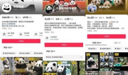 熊猫家族成员爆料视频播放