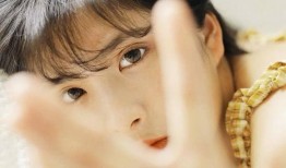 淑女出招在线观看,解锁魅力女性的智慧攻略