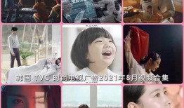 小红阿姨爆料视频大全,揭秘生活百态，笑料横生