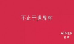 世界杯娱乐圈爆料文案,揭秘赛场背后的精彩故事