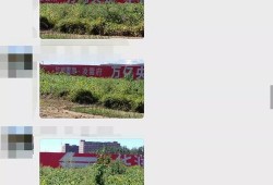 吉大学校最新爆料消息,揭秘校园风云背后的真相