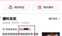 头条爆料必须有视频吗,【独家爆料】视频为证！头条大事件真相揭晓