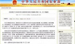 宝坻新闻爆料,揭秘当地热点事件背后的真相