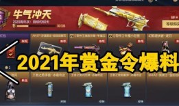 2021赏金令最新爆料