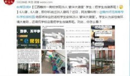 赣州自媒体爆料事件视频,真相与争议交织