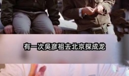 吴彦祖早期爆料视频在线观看,揭秘明星成长之路