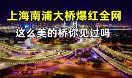 最新红色爆料视频大全免费观看,最新红色爆料视频大全免费观看，独家放送！