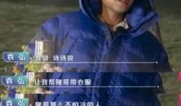 刘诗诗袁弘最新爆料,揭秘甜蜜爱情背后的温馨瞬间