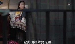 浪姐三季姐姐爆料视频,姐姐们的爆料与心路历程
