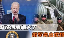 俄罗斯爆料事件视频播放,视频播放背后的惊人真相
