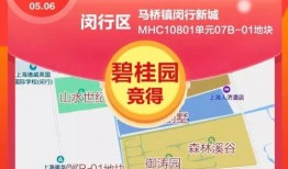 爆料最新项目