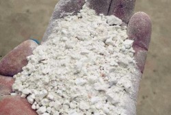 红薯淀粉最新爆料