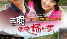 豆腐西施杨七巧全集在线观看,全集剧情回顾，在线观看指南