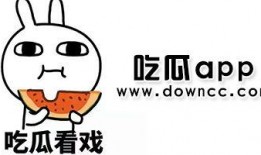 网红吃瓜软件免费下载,揭秘娱乐圈幕后真相！