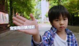 张庭赚钱爆料视频在线观看,揭秘她如何通过视频在线观看赚取巨额财富
