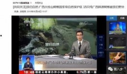 缅北归来新闻爆料保护,勇敢爆料背后的真相与挑战