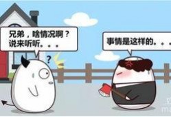 购车诈骗爆料案例最新视频