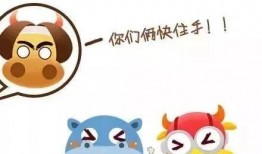 小班的爆料视频
