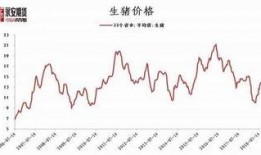 豆粕期货爆料最新消息新闻,揭秘价格波动背后的神秘力量