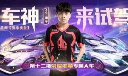 荣耀勋章18期爆料视频,揭秘全新爆料视频，亮点抢先看！