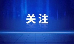 重磅事实爆料视频