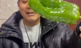 网红吃瓜爆料秃崽视频大全,秃崽视频大全大揭秘