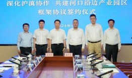 红河电视台新闻爆料,揭开神秘事件背后真相