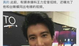 前妻爆料王力宏视频播放,真相与争议全解析
