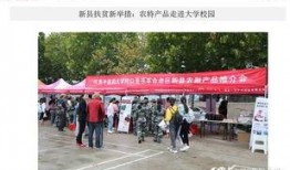 新县网友爆料新闻最新,惊现神秘事件，真相令人震惊！
