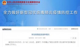 全国新闻媒体爆料邮箱,揭秘信息传递的桥梁