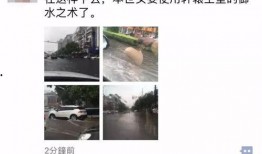 荆州爆料的视频,事件背后惊人真相