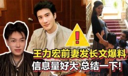 前妻爆料王力宏视频播放,真相与争议全解析