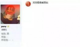 qq网红吃瓜名片,揭秘娱乐圈幕后真相