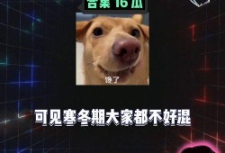 娱乐八卦吃瓜每日爆料,每日吃瓜爆料，明星幕后故事大公开