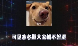 娱乐八卦吃瓜每日爆料,每日吃瓜爆料，明星幕后故事大公开