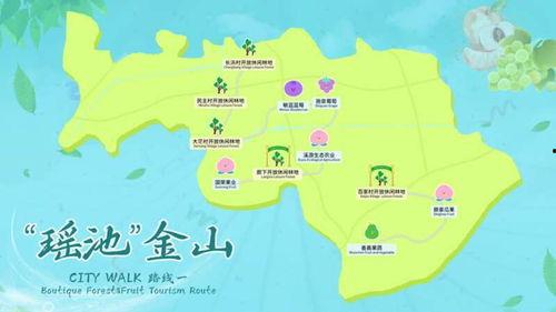 娱乐吃瓜清冷路线,清冷吃瓜指南，揭秘明星背后的故事