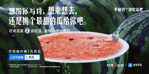 娱乐吃瓜文案怎么写好,吃瓜群众必看的幕后花絮大汇总